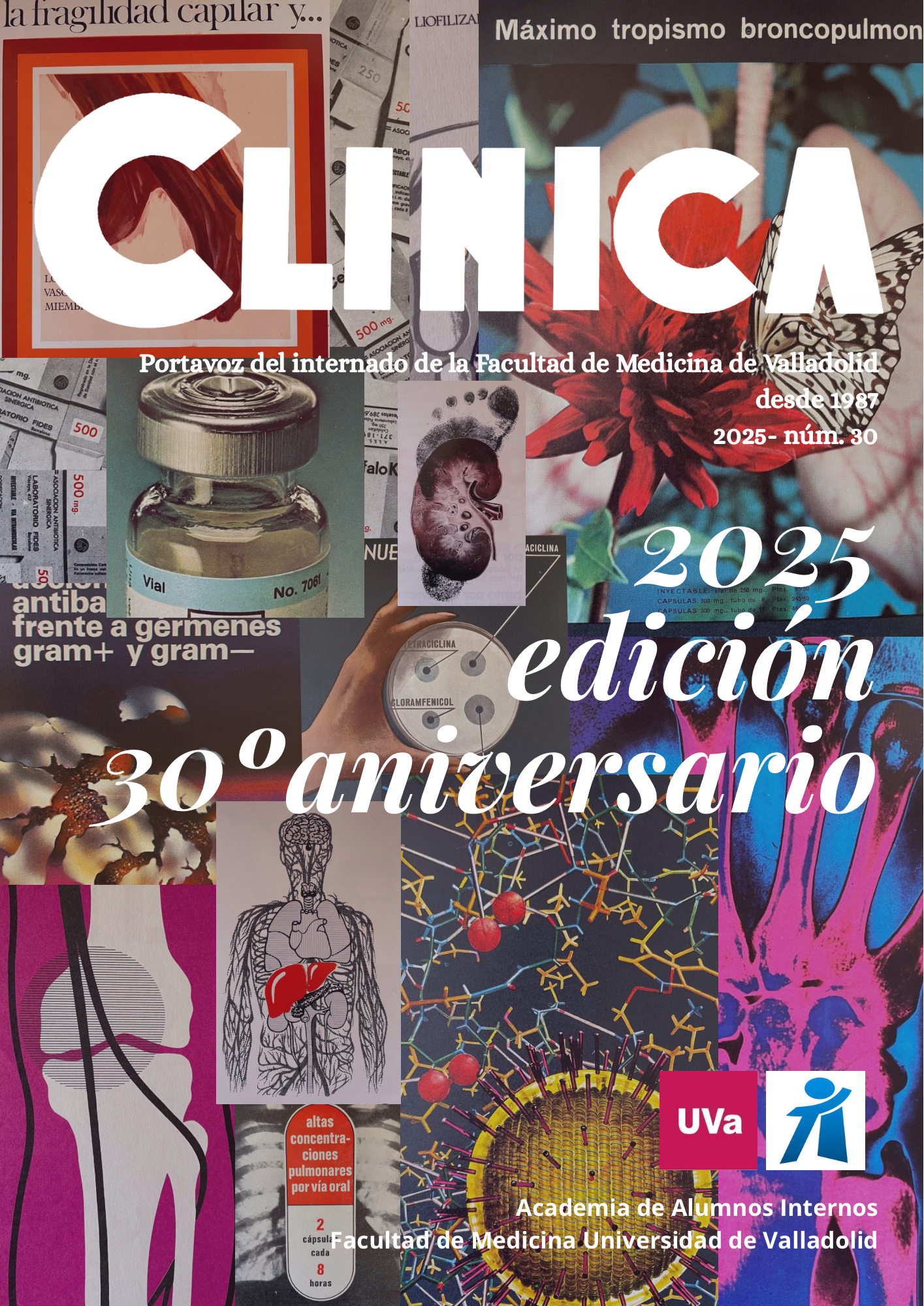 Autora: Dra. Irene Martín de Prado